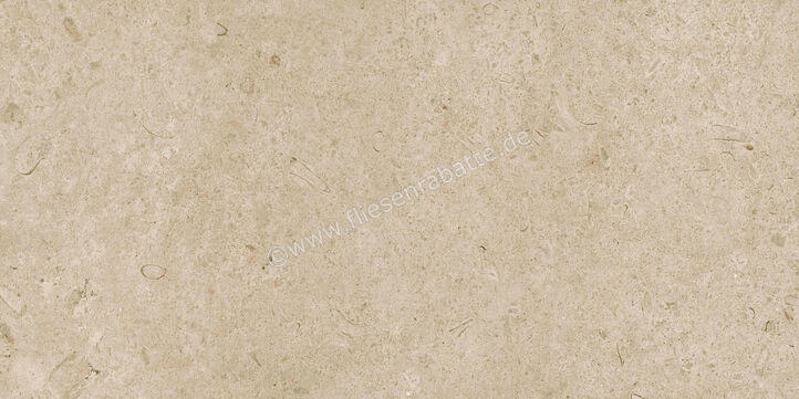  Ragno Eterna Greige 60x120 cm Bodenfliese / Wandfliese Matt Eben Naturale R8JM | 680999