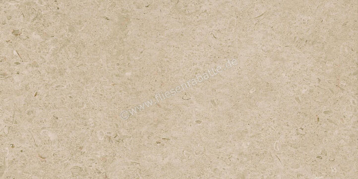  Ragno Eterna Greige 60x120 cm Bodenfliese / Wandfliese Matt Eben Naturale R8JM | 681002