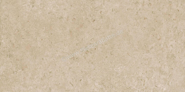  Ragno Eterna Greige 60x120 cm Bodenfliese / Wandfliese Matt Eben Naturale R8JM | 681005