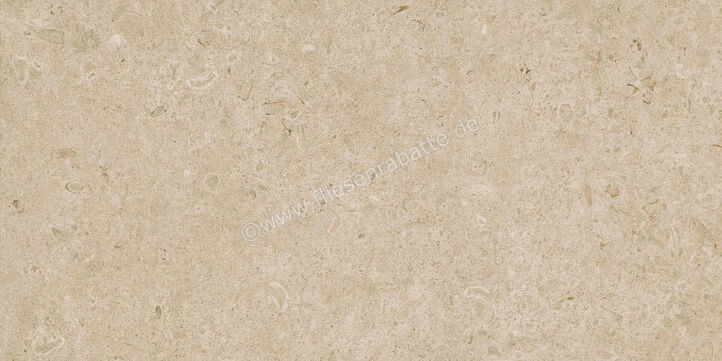  Ragno Eterna Greige 60x120 cm Bodenfliese / Wandfliese Matt Eben Naturale R8JM | 681008