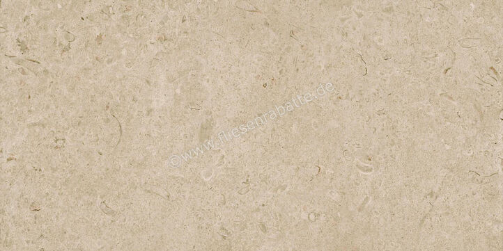  Ragno Eterna Greige 60x120 cm Bodenfliese / Wandfliese Matt Eben Naturale R8JM | 681011