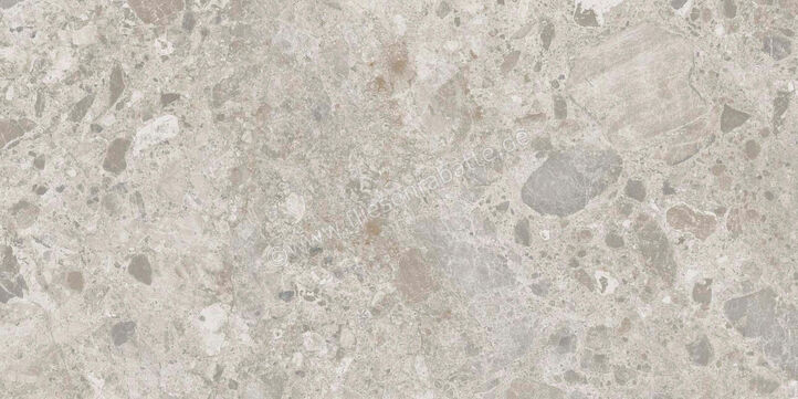  Ragno Eterna Mix Gris 60x120 cm Bodenfliese / Wandfliese Matt Eben Naturale R8JQ | 681068