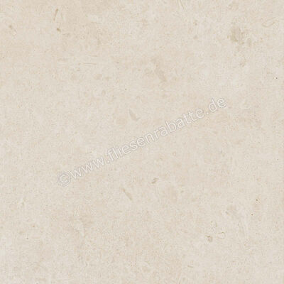  Ragno Eterna Blanco 60x60 cm Bodenfliese / Wandfliese Matt Eben Naturale R8JS | 681086