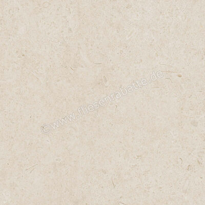 Ragno Eterna Blanco 60x60 cm Bodenfliese / Wandfliese Matt Eben Naturale R8JS | 681095