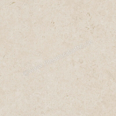  Ragno Eterna Blanco 60x60 cm Bodenfliese / Wandfliese Matt Eben Naturale R8JS | 681104