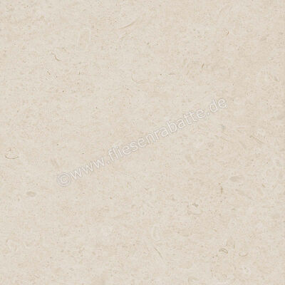  Ragno Eterna Blanco 60x60 cm Bodenfliese / Wandfliese Matt Eben Naturale R8JS | 681107