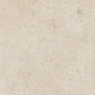  Ragno Eterna Arena 60x60 cm Bodenfliese / Wandfliese Matt Eben Naturale R8JT | 681125