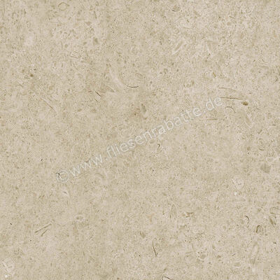 Ragno Eterna Greige 60x60 cm Bodenfliese / Wandfliese Matt Eben Naturale R8JU | 681134