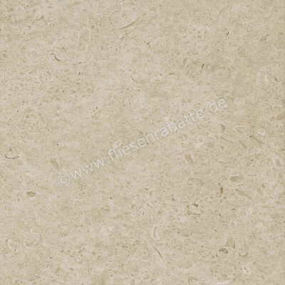  Ragno Eterna Greige 60x60 cm Bodenfliese / Wandfliese Matt Eben Naturale R8JU | 681137