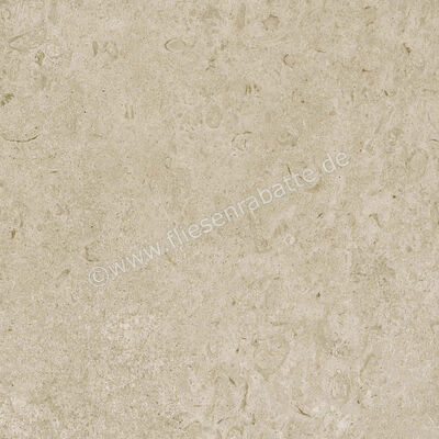  Ragno Eterna Greige 60x60 cm Bodenfliese / Wandfliese Matt Eben Naturale R8JU | 681140