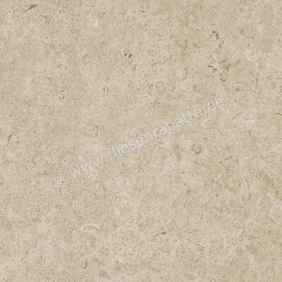  Ragno Eterna Greige 60x60 cm Bodenfliese / Wandfliese Matt Eben Naturale R8JU | 681143