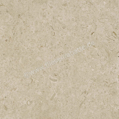  Ragno Eterna Greige 60x60 cm Bodenfliese / Wandfliese Matt Eben Naturale R8JU | 681146