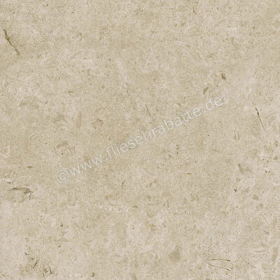  Ragno Eterna Greige 60x60 cm Bodenfliese / Wandfliese Matt Eben Naturale R8JU | 681149