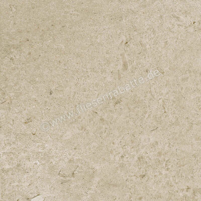  Ragno Eterna Greige 60x60 cm Bodenfliese / Wandfliese Matt Eben Naturale R8JU | 681152