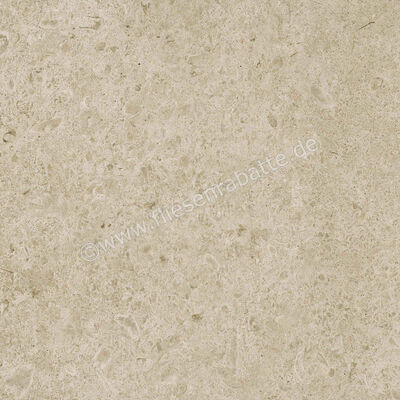 Ragno Eterna Greige 60x60 cm Bodenfliese / Wandfliese Matt Eben Naturale R8JU | 681155