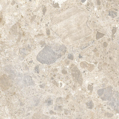  Ragno Eterna Mix Multicolor 60x60 cm Bodenfliese / Wandfliese Matt Eben Naturale R8JV | 681164