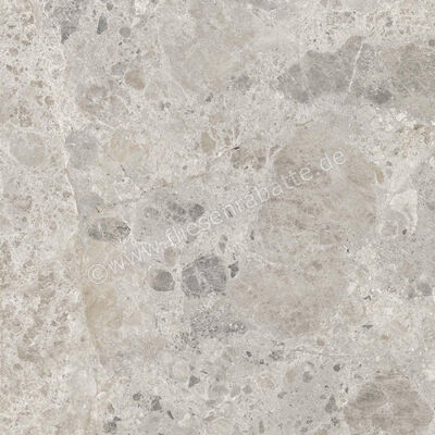  Ragno Eterna Mix Gris 60x60 cm Bodenfliese / Wandfliese Matt Eben Naturale R8JX | 681206