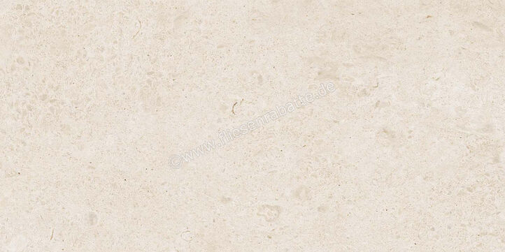  Ragno Eterna Blanco 30x60 cm Bodenfliese / Wandfliese Matt Eben Naturale R8JZ | 681230