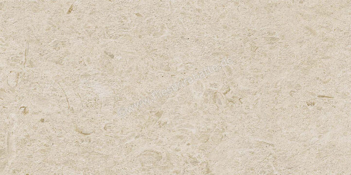  Ragno Eterna Arena 30x60 cm Bodenfliese / Wandfliese Matt Eben Naturale R8K0 | 681257