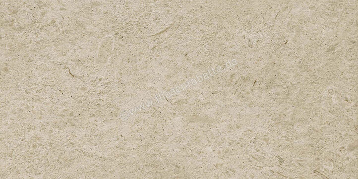  Ragno Eterna Greige 30x60 cm Bodenfliese / Wandfliese Matt Eben Naturale R8K1 | 681278
