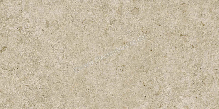  Ragno Eterna Greige 30x60 cm Bodenfliese / Wandfliese Matt Eben Naturale R8K1 | 681281