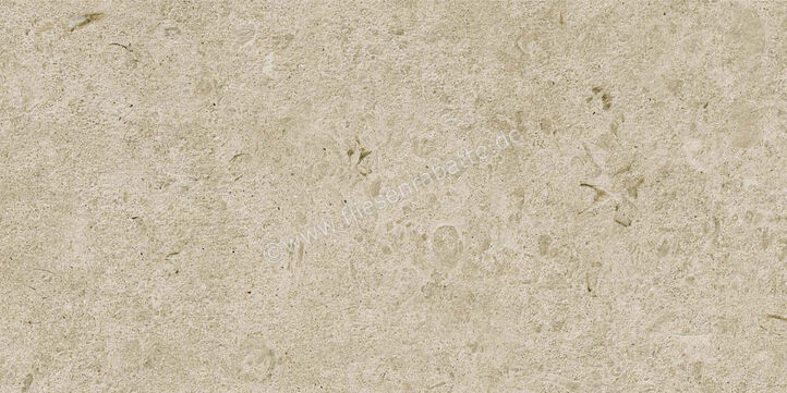  Ragno Eterna Greige 30x60 cm Bodenfliese / Wandfliese Matt Eben Naturale R8K1 | 681284
