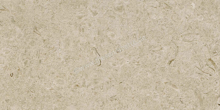 Ragno Eterna Greige 30x60 cm Bodenfliese / Wandfliese Matt Eben Naturale R8K1 | 681287