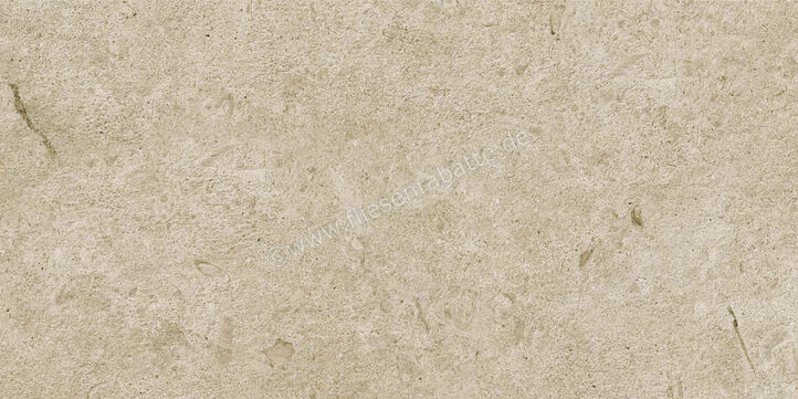  Ragno Eterna Greige 30x60 cm Bodenfliese / Wandfliese Matt Eben Naturale R8K1 | 681290