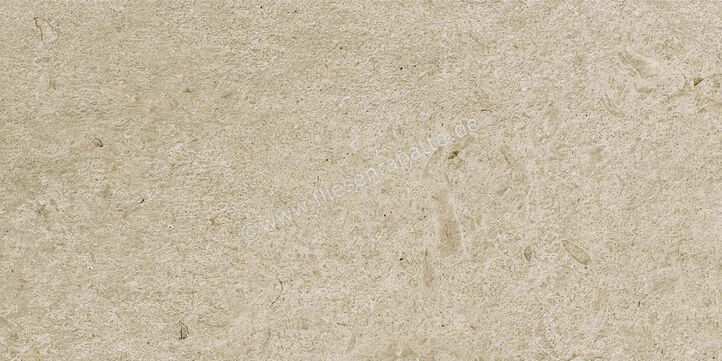  Ragno Eterna Greige 30x60 cm Bodenfliese / Wandfliese Matt Eben Naturale R8K1 | 681293