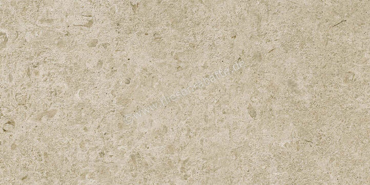 Ragno Eterna Greige 30x60 cm Bodenfliese / Wandfliese Matt Eben Naturale R8K1 | 681296