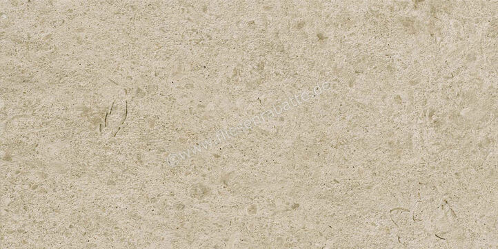  Ragno Eterna Greige 30x60 cm Bodenfliese / Wandfliese Matt Eben Naturale R8K1 | 681299