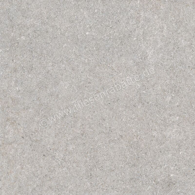  Ragno True XT20 Grey 60x60x2 cm Terrassenplatte Matt Eben Naturale RDKH | 683870