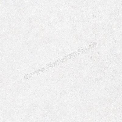  Ragno True XT20 Ice 60x60x2 cm Terrassenplatte Matt Eben Naturale RDKL | 683942