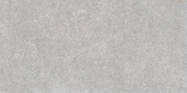  Ragno True Grey 60x120 cm Bodenfliese / Wandfliese Matt Eben Naturale RDK1 | 684287
