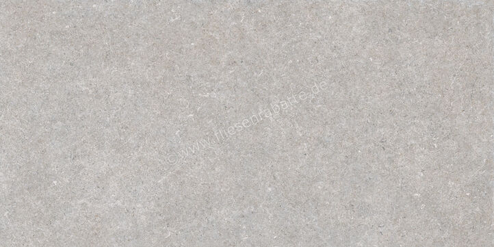  Ragno True Grey 60x120 cm Bodenfliese / Wandfliese Matt Eben Naturale RDK1 | 684290