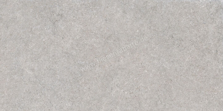  Ragno True Grey 60x120 cm Bodenfliese / Wandfliese Matt Eben Naturale RDK1 | 684299