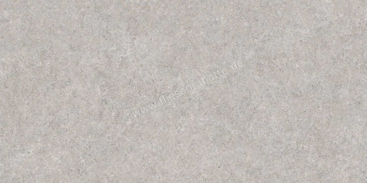 Ragno True Grey 60x120 cm Bodenfliese / Wandfliese Matt Eben Naturale RDK1 | 684302