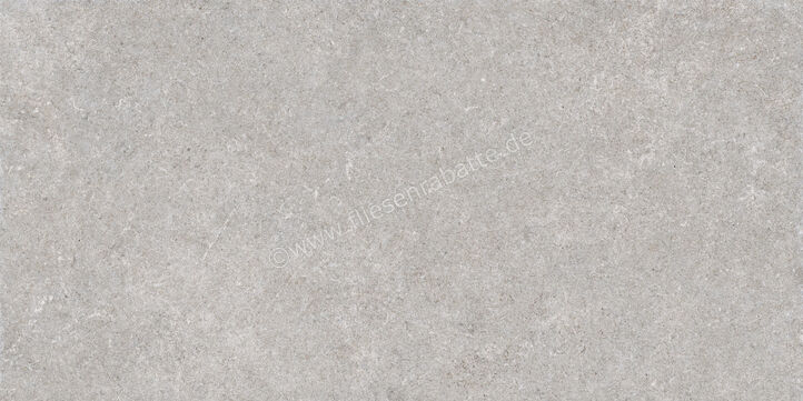  Ragno True Grey 60x120 cm Bodenfliese / Wandfliese Matt Eben Naturale RDK1 | 684308