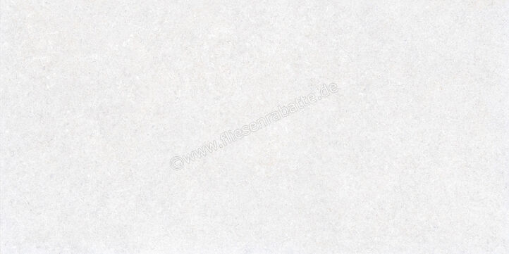  Ragno True Ice 60x120 cm Bodenfliese / Wandfliese Matt Eben Naturale RDK2 | 684314