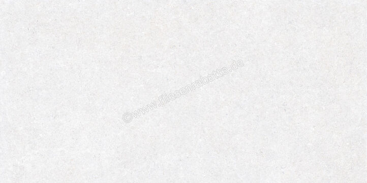  Ragno True Ice 60x120 cm Bodenfliese / Wandfliese Matt Eben Naturale RDK2 | 684317