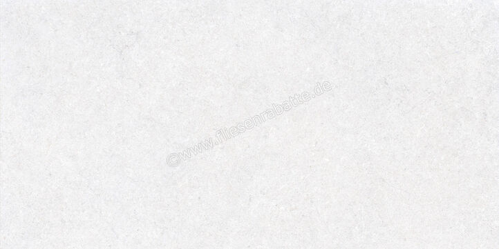  Ragno True Ice 60x120 cm Bodenfliese / Wandfliese Matt Eben Naturale RDK2 | 684323