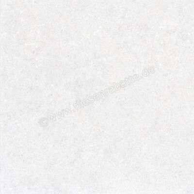  Ragno True Ice 60x60 cm Bodenfliese / Wandfliese Matt Eben Naturale RDK9 | 684482