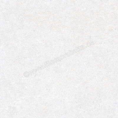  Ragno True Ice 60x60 cm Bodenfliese / Wandfliese Matt Eben Naturale RDK9 | 684485