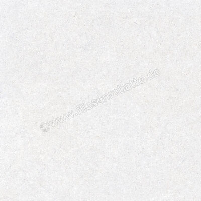  Ragno True Ice 60x60 cm Bodenfliese / Wandfliese Matt Eben Naturale RDK9 | 684488