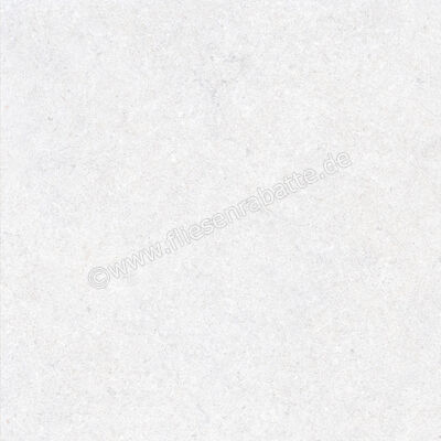  Ragno True Ice 60x60 cm Bodenfliese / Wandfliese Matt Eben Naturale RDK9 | 684491