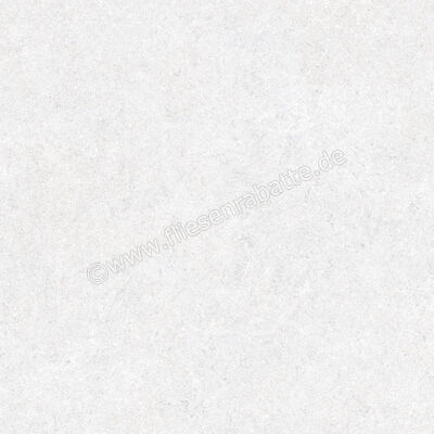  Ragno True Ice 60x60 cm Bodenfliese / Wandfliese Matt Eben Naturale RDK9 | 684494