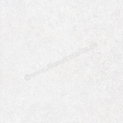  Ragno True Ice 60x60 cm Bodenfliese / Wandfliese Matt Eben Naturale RDK9 | 684497
