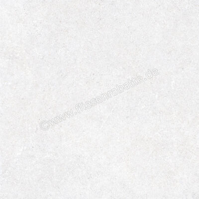  Ragno True Ice 60x60 cm Bodenfliese / Wandfliese Matt Eben Naturale RDK9 | 684500