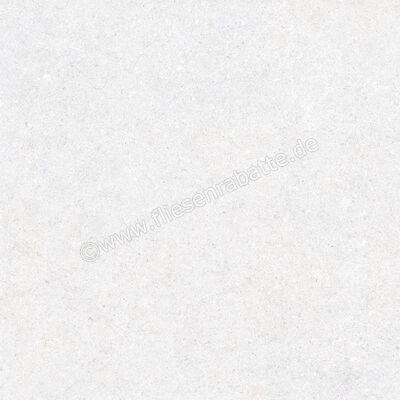  Ragno True Ice 60x60 cm Bodenfliese / Wandfliese Matt Eben Naturale RDK9 | 684503