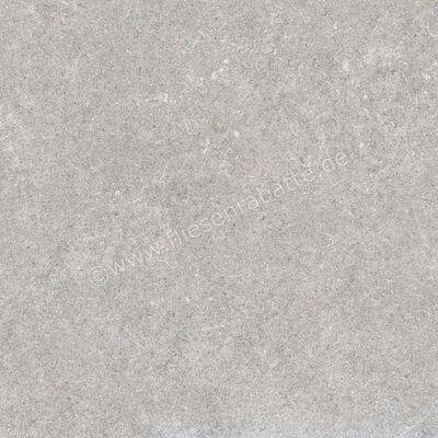  Ragno True Grey 60x60 cm Bodenfliese / Wandfliese Matt Eben Naturale RDKA | 684506
